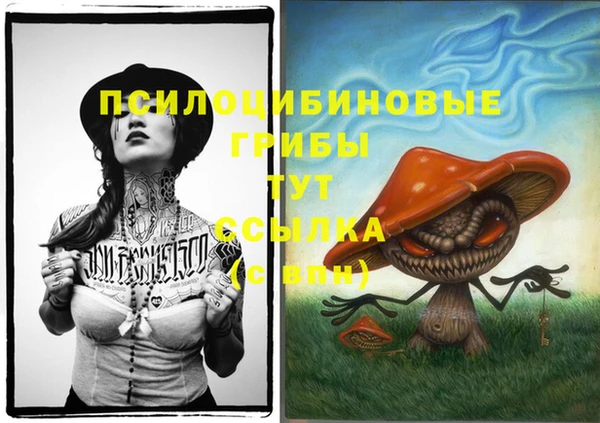 прущая мука Абаза